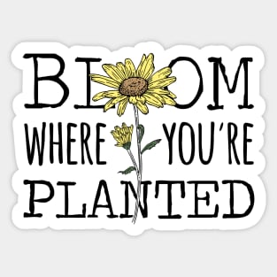 Bloom Where You're Planted Sunflower Sticker